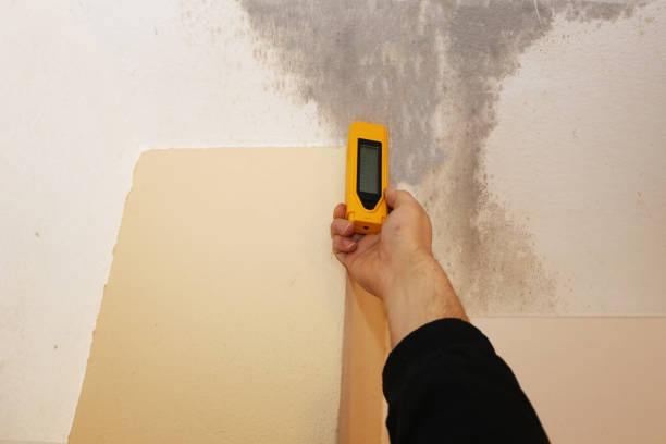 Best Real Estate Mold Inspection  in Copperopolis, CA