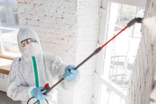 Best Commercial Mold Inspection  in Copperopolis, CA