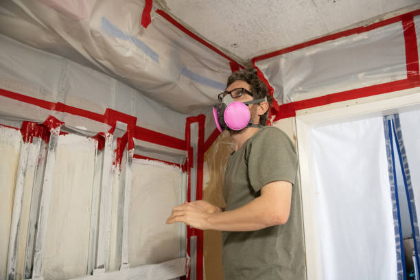Copperopolis, CA Mold Removal Company