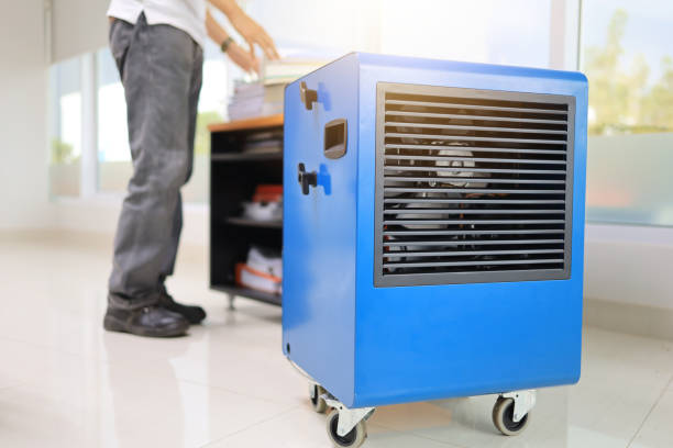 Best Mold Damage Restoration  in Copperopolis, CA
