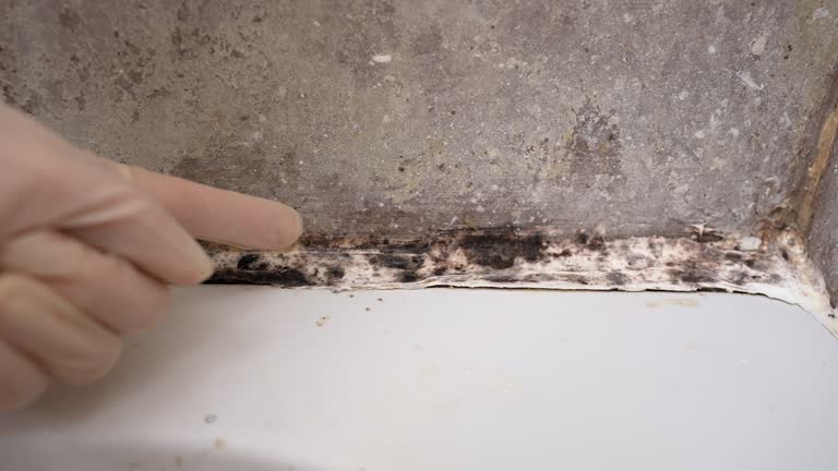 Best Mold Removal for HVAC Installations  in Copperopolis, CA