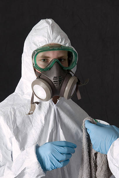 Mold Remediation for Vacation Homes in Copperopolis, CA